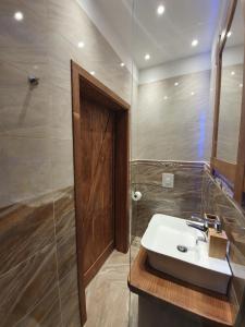 克拉尼斯卡戈拉Studio Srce的一间带水槽和淋浴的浴室