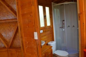 瓜塔维塔Arrecife Glamping的一间带卫生间和玻璃淋浴间的浴室