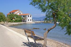 斯瑞瑟尔Apartments by the sea Sreser, Peljesac - 10206的树旁的长凳,水边