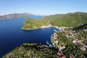 拉茨斯切Apartments by the sea Racisce, Korcula - 161的享有湖中小岛的空中景色