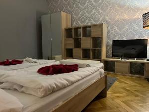 布拉格GLOBE Hostel Prague ADULTS ONLY的配有电视的客房内的两张床