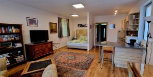 布达佩斯卡西米尔索非亚公寓的客厅配有沙发和带电视的桌子