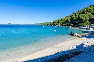 斯拉诺Rooms by the sea Sladjenovici, Dubrovnik - 2161的一片蓝水和树木环绕的海滩