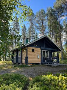 SaariharjuMetsä Kolo的树林中的小小屋