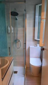 塞维利亚Carmona&House的带淋浴、卫生间和盥洗盆的浴室