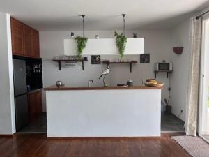 斯基灵角Villa ALDIANA的一间厨房,在房间内配有一个白色的大柜台