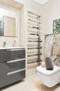 布里斯托Stunning 2 bedroom apartment in fantastic location的一间带卫生间和水槽的浴室