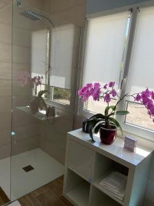 罗宾鲁伯龙L’oliveraie的带淋浴的浴室和架子上盆栽植物
