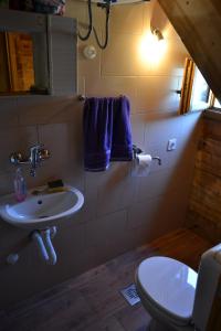 维舍格勒Drinski dragulj的浴室配有白色水槽和卫生间。