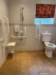 达宁顿堡多宁顿庄园酒店的一间带卫生间、椅子和窗户的浴室