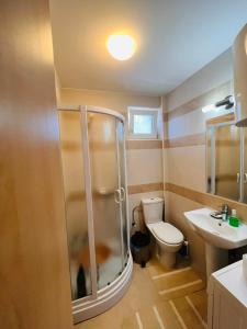 DanilovgradStudio Apartment 21的带淋浴、卫生间和盥洗盆的浴室