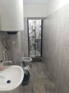 布雷佐伊Apartament Brezoi的一间带水槽和卫生间的浴室