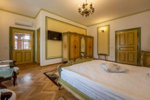 锡吉什瓦拉Clasic Haus Sighisoara的一间卧室配有一张大床和一个吊灯。