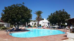 英格兰海滩Studio 2-6 Playa del Ingles的一个带椅子和棕榈树的大型游泳池