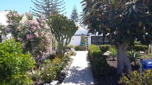 英格兰海滩Studio 2-6 Playa del Ingles的种满鲜花和树木的花园以及步道