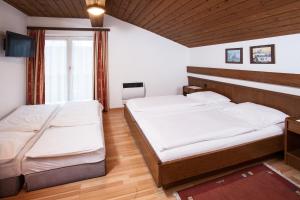萨尔察赫河畔戈灵卡斯豪司松克勒酒店的一间卧室设有两张床和窗户。