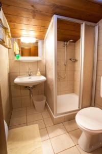 萨尔察赫河畔戈灵卡斯豪司松克勒酒店的带淋浴、盥洗盆和卫生间的浴室