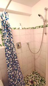 福森马鲁斯旅馆的带淋浴和浴帘的浴室