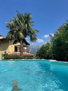 瓦尔玛德雷拉Relais Garden Lecco的棕榈树,在一座带游泳池的房子前