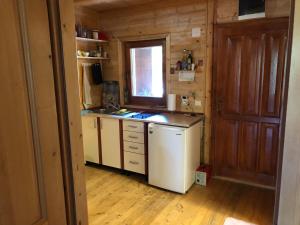 东吉托伊Charming wooden house in Ada Bojana的小厨房配有白色冰箱和窗户