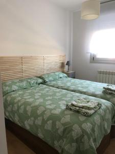 林克勒斯TÍA NANDUCA的一间卧室配有一张带绿色棉被的床
