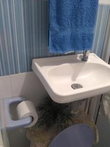 La LomaRoom in Guest room - Posada green sea villa helen kilometer 4 bypass的浴室设有白色水槽和蓝色毛巾。