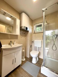 PodlehnikHoliday House Tomajna的浴室配有卫生间、盥洗盆和淋浴。