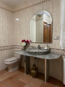 洛萨尔德拉韦拉CASA SEBASTIANA SUITE的一间带水槽、卫生间和镜子的浴室