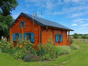 奥斯诺卢布斯基Smocze Ranczo的小木屋设有蓝色窗户和屋顶