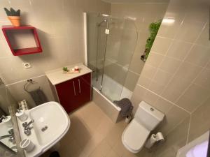 塔拉戈纳Topitos Apartment Casc Antic的浴室配有卫生间、盥洗盆和淋浴。