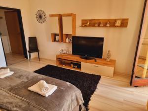 科普里夫尼察Skitnica Gold的客厅配有平面电视和1张床。