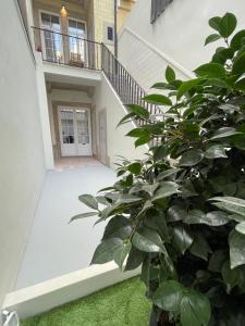 波尔图TOP Porto的植物房子的楼梯
