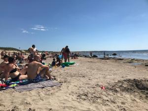 法尔肯贝里Liten ”stuga”的一群人躺在沙滩上
