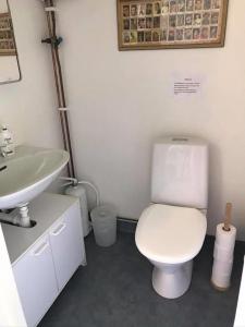 法尔肯贝里Liten ”stuga”的浴室配有白色卫生间和盥洗盆。