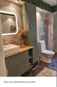 Cozy 4-bedroom villa free parking big garden ++的一间带水槽、卫生间和镜子的浴室
