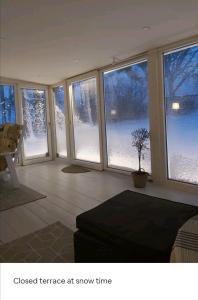 Cozy 4-bedroom villa free parking big garden ++的客厅的窗户外有雪