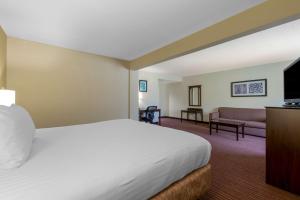 塞尼卡Best Western Seneca-Clemson的酒店客房,配有床和沙发