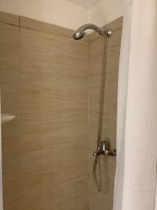 蒙得维的亚Comodo monoambiente bien ubicado en Cordon的浴室内配有淋浴和头顶淋浴