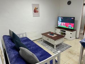 派桑杜Apart Del Este 1的带沙发和电视的客厅