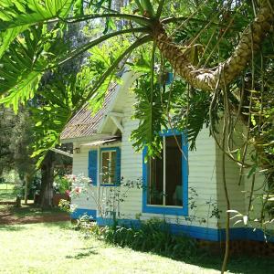 埃尔多拉多Estancia las Mercedes的院子内有蓝色窗户的小房子
