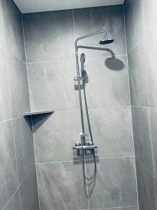 塞尔福斯Nyibaer studio apartment的浴室内配有淋浴和头顶淋浴