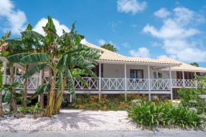 威廉斯塔德鹦鹉海滩度假酒店的海滩上一棵棕榈树的房子