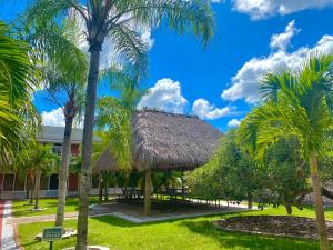 霍姆斯泰德Garden Inn Homestead/Everglades/Gateway to Keys的棕榈树和草屋度假村