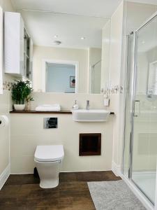 科尔切斯特My Chester Luxury Home的浴室配有卫生间、盥洗盆和淋浴。
