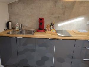 波尔多studio cocoon BORDEAUX Chartrons/ Jardin Public的厨房配有水槽和台面