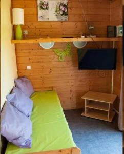Saint-Romain-de-JalionasDomaine des Epinettes的一间小卧室,配有绿色的床和电视