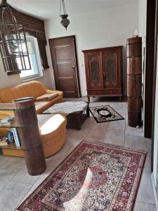 霍佩加尔滕Samoa的带沙发和地毯的客厅