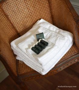 SanxayDomaine de la Briouse的椅子上白毛巾上一堆黑药片