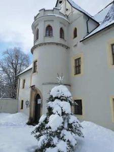 ForchheimRittergut Schloss Niederforchheim的前面有一棵雪覆盖的树