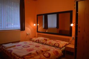 奥斯特罗夫54旅馆及餐厅的一间卧室配有一张床和一面大镜子